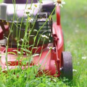 Sind Gartenarbeiten und Gartenpflege umlegbare Betriebskosten bzw. Nebenkosten?